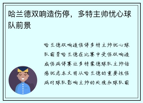 哈兰德双响造伤停，多特主帅忧心球队前景